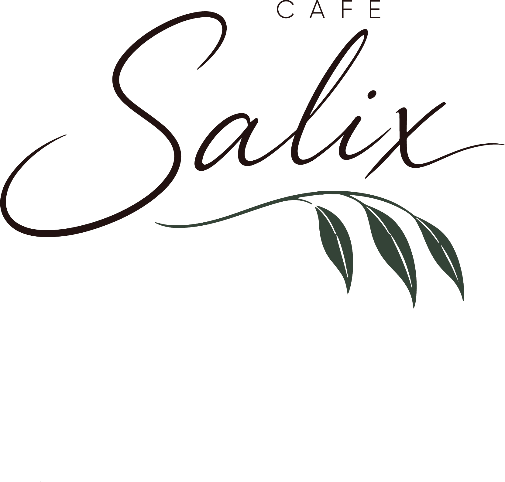Cafe Salix logo